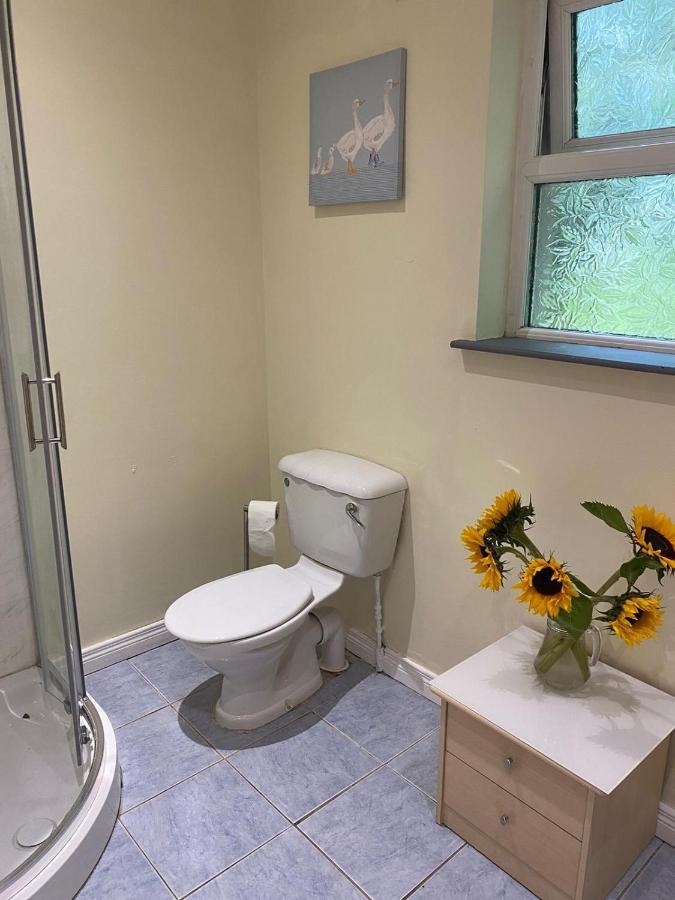 Orchard Lodge Glenavy Εξωτερικό φωτογραφία